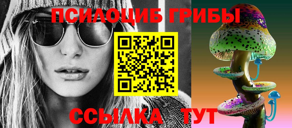 Нефтекамск  где продают   Вход с VPN  Псилоцибиновые грибы мицелий 